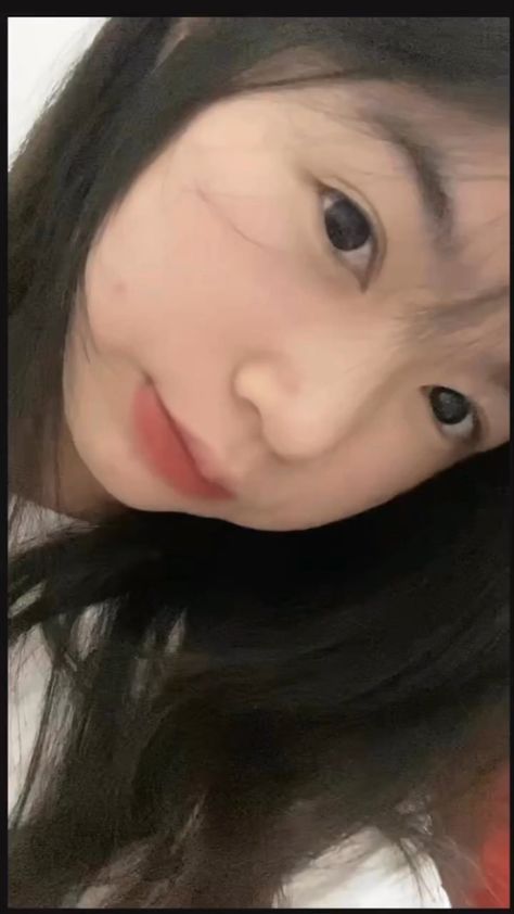 日日操av